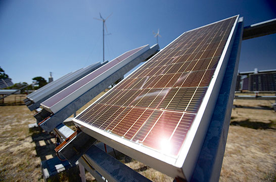 Perth Wildlife Encounters, Rockingham